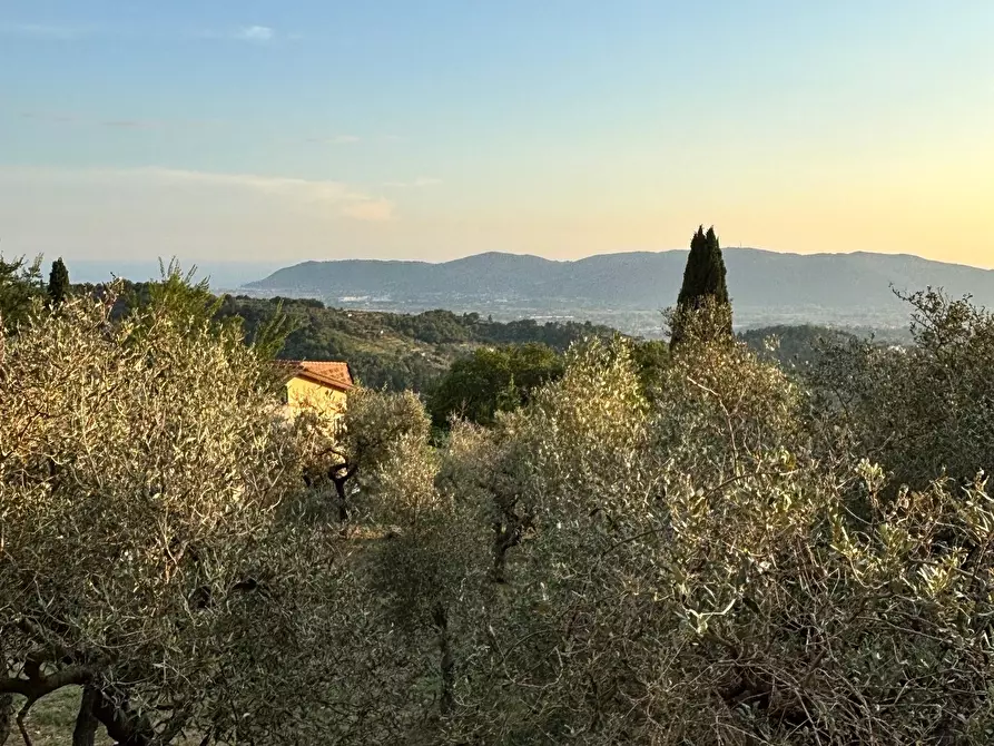 Immagine 22 di Villa in vendita  a Fosdinovo