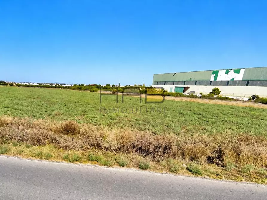 Immagine 1 di Terreno agricolo in vendita  a Paceco