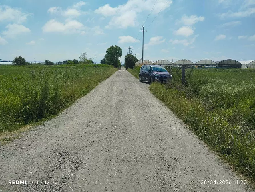 Immagine 9 di Terreno agricolo in vendita  in via bernardo tanucci a Eboli