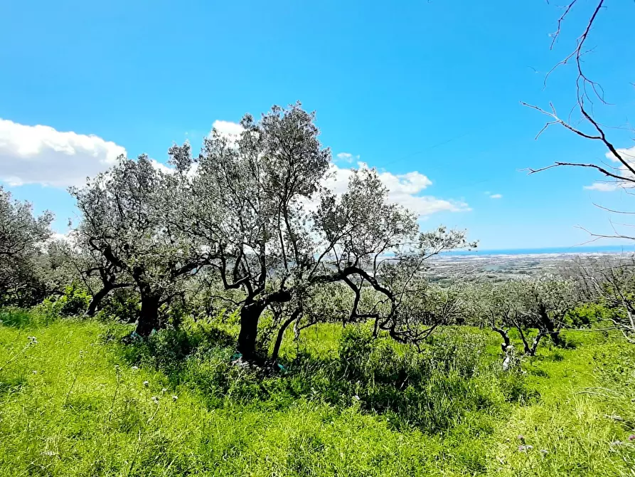 Immagine 10 di Terreno agricolo in vendita  in via contrada maiano a Montecorvino Rovella