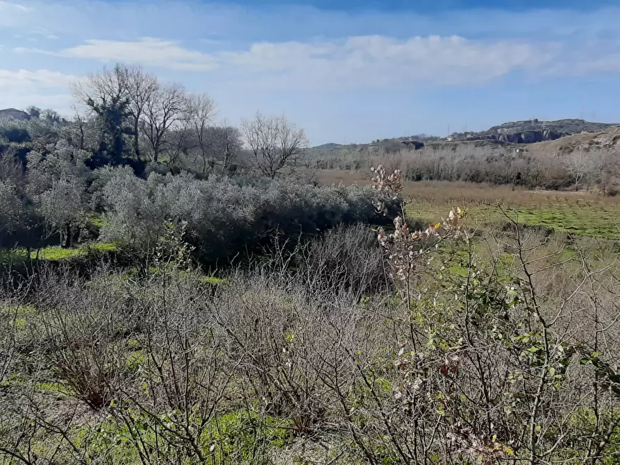 Immagine 3 di Terreno agricolo in vendita  in via raiello a Montecorvino Rovella
