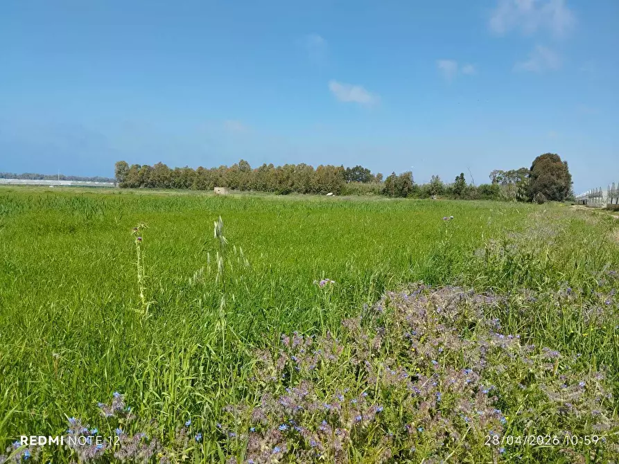 Immagine 5 di Terreno agricolo in vendita  in via bernardo tanucci a Eboli