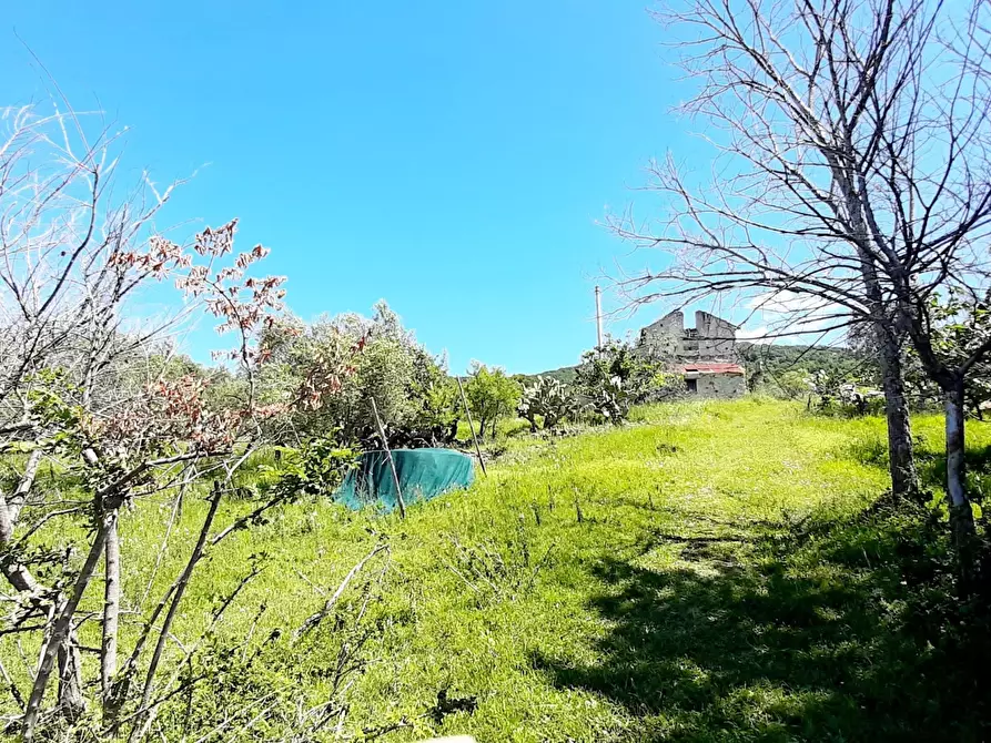 Immagine 6 di Terreno agricolo in vendita  in via contrada maiano a Montecorvino Rovella