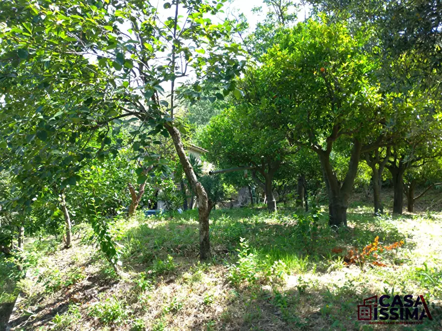 Immagine 1 di Terreno agricolo in vendita  in Via Fiano a Nocera Inferiore