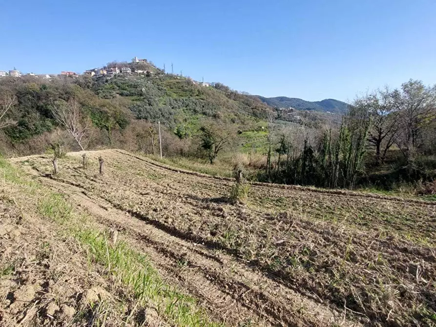 Immagine 15 di Terreno agricolo in vendita  in via casa vicinanza a Salerno