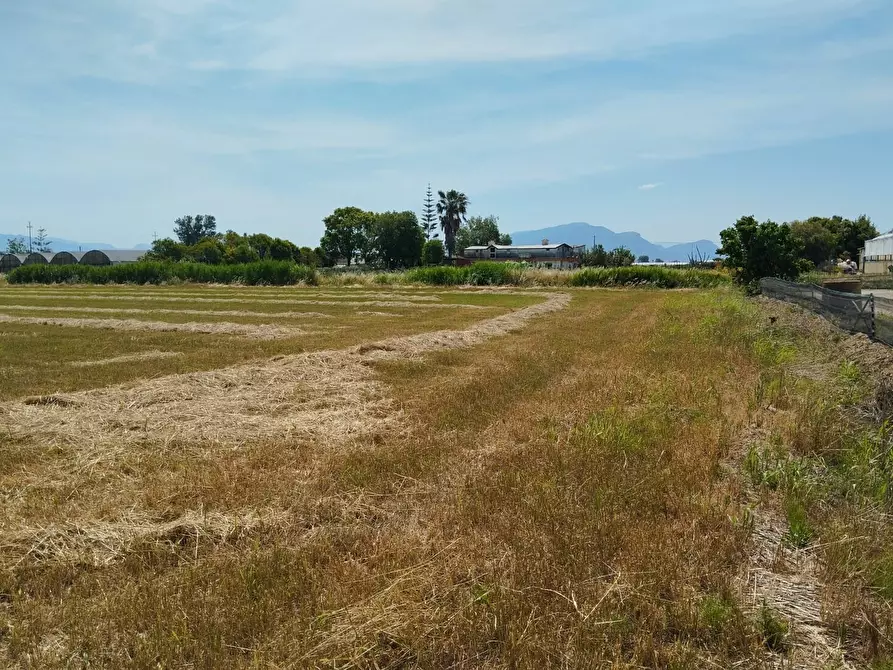 Immagine 3 di Terreno agricolo in vendita  in via bernardo tanucci a Eboli