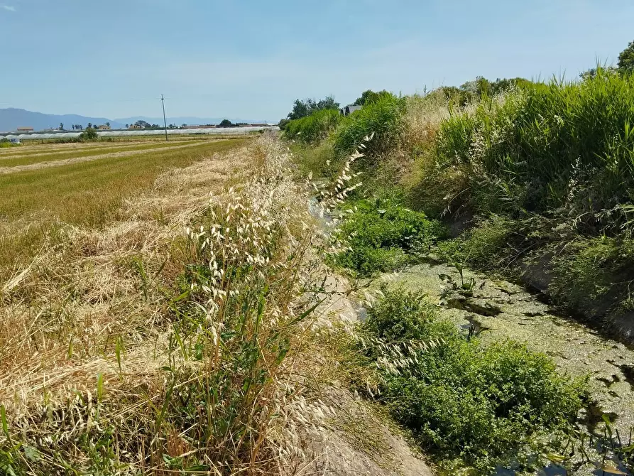 Immagine 20 di Terreno agricolo in vendita  in via bernardo tanucci a Eboli