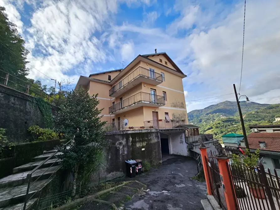 Immagine 54 di Quadrilocale in vendita  in Via Domenico Carli a Genova
