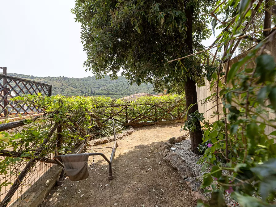Immagine 20 di Casa semindipendente in vendita  in Strada Vicinale del Grottino 18 a Monte Argentario