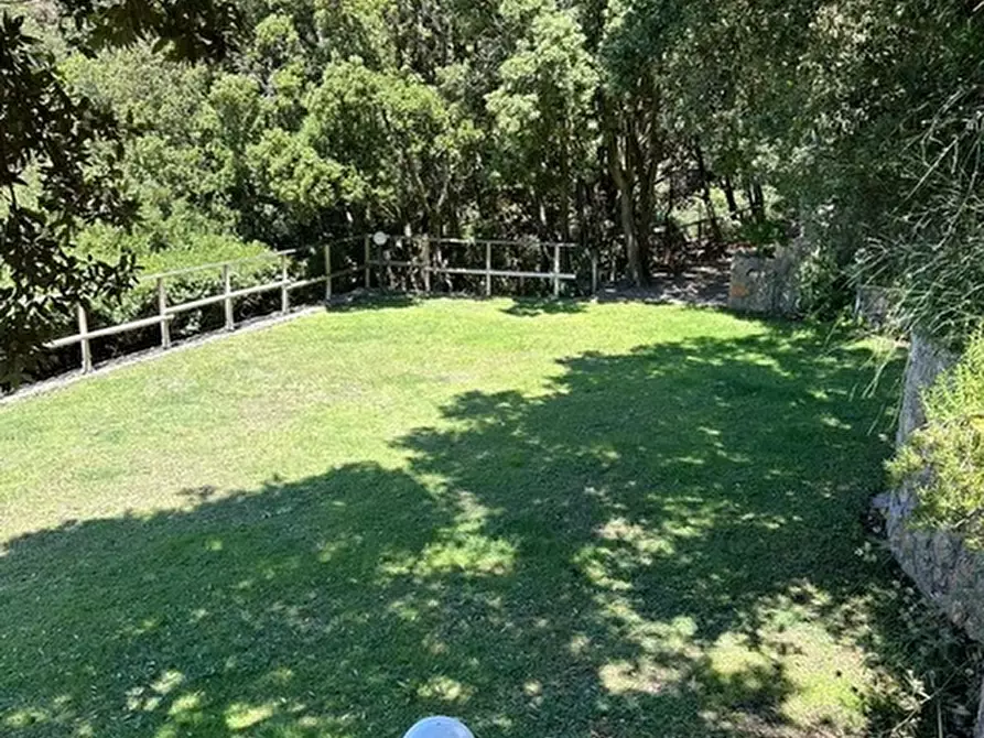 Immagine 24 di Porzione di casa in vendita  in Cala Piccola snc a Monte Argentario