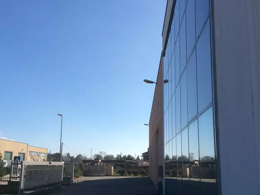 Immagine 13 di Attività artigianale in vendita  in Via dell'Airone 6A a Orbetello