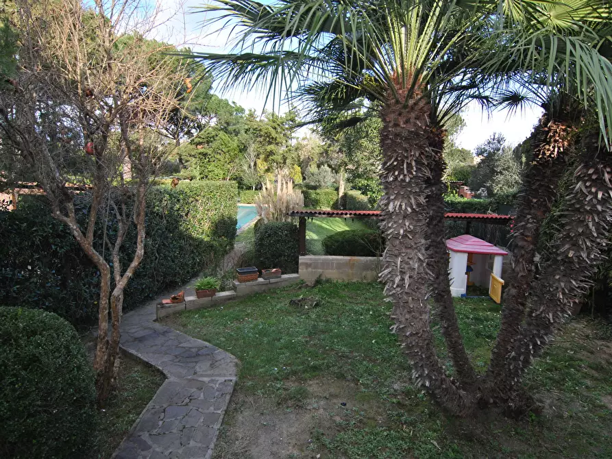 Immagine 15 di Villetta a schiera in affitto  in Via del Pino 18 a Livorno