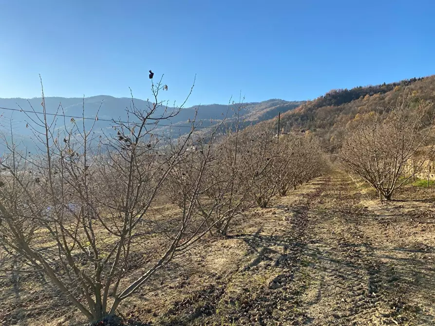 Immagine 2 di Rustico / casale in vendita  in Frazione Robertiero 14 a Gorzegno