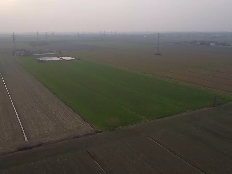 Immagine 8 di Azienda agricola in vendita  in Via al Serraglio 35 a Colorno