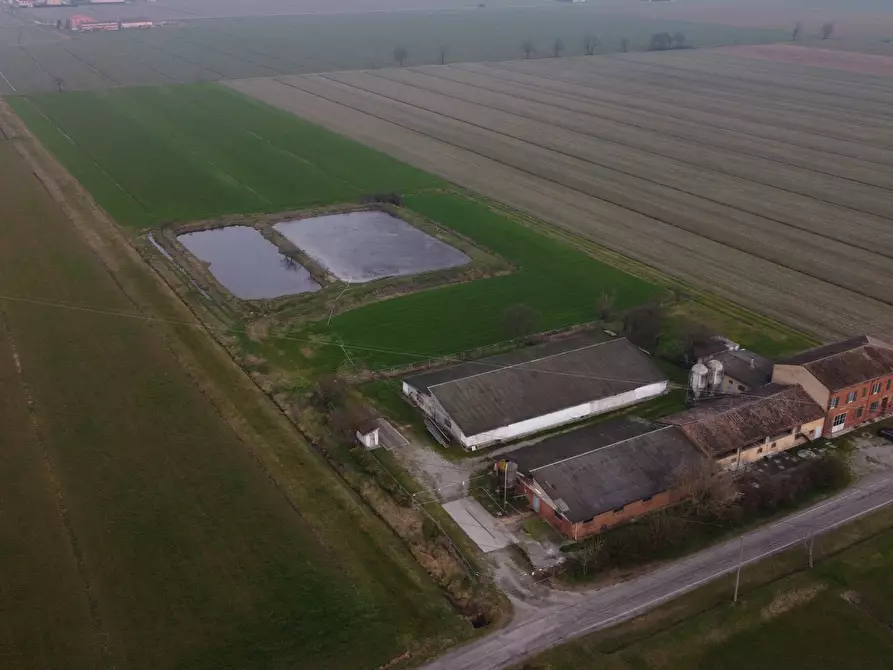 Immagine 9 di Azienda agricola in vendita  in Via al Serraglio 35 a Colorno