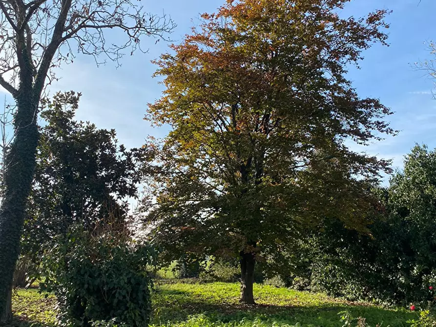 Immagine 39 di Rustico / casale in vendita  in Strada Salicelli 1 a Roccabianca