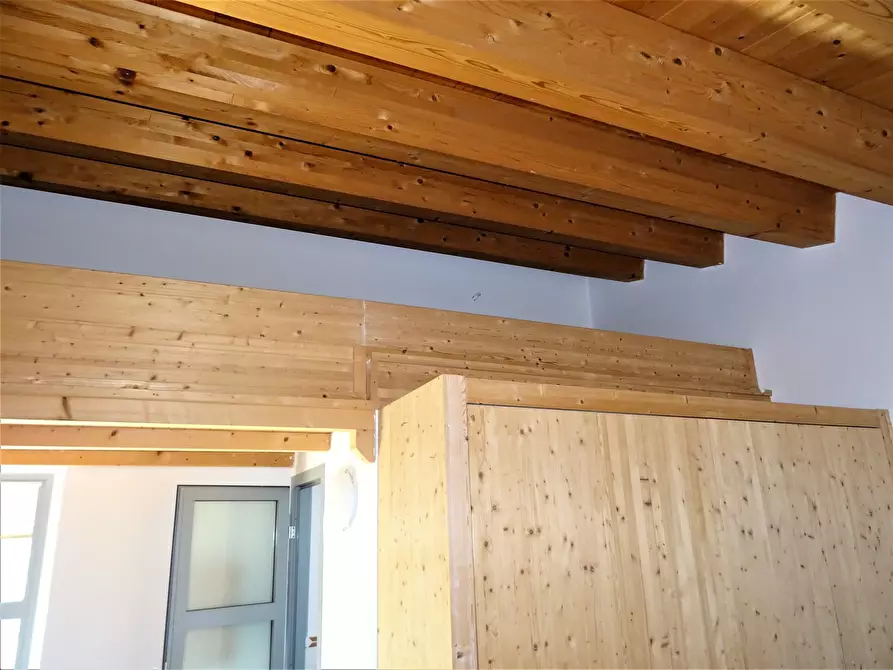 Immagine 15 di Terreno agricolo in vendita  a Senigallia