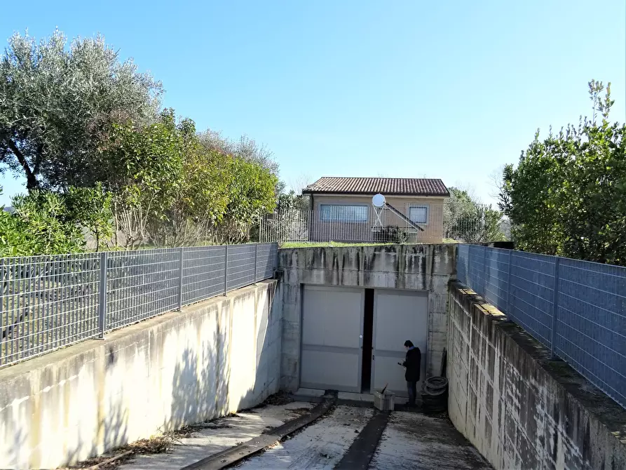 Immagine 8 di Terreno agricolo in vendita  a Senigallia