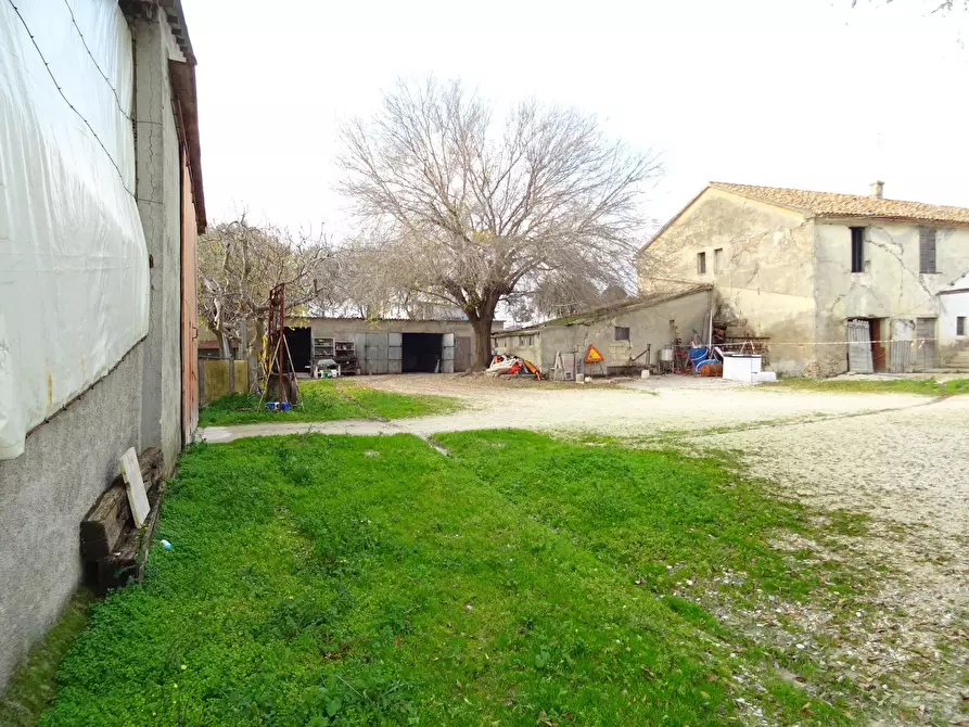 Immagine 23 di Rustico / casale in vendita  a Senigallia