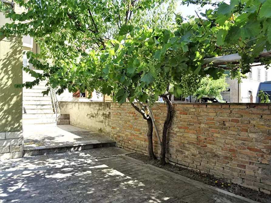 Immagine 26 di Villetta a schiera in vendita  a Mondavio