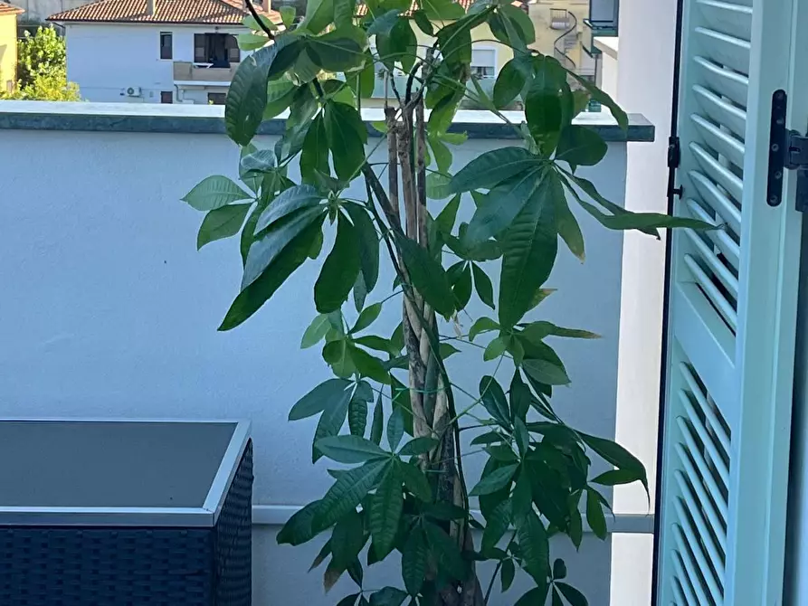 Immagine 45 di Attico in vendita  a Senigallia