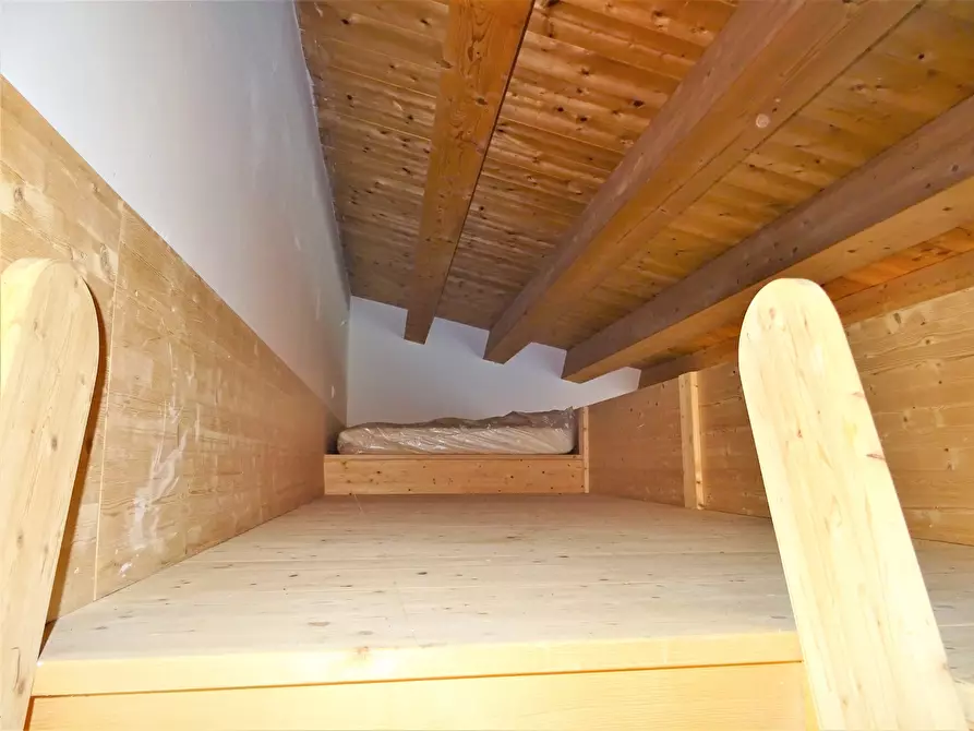 Immagine 16 di Terreno agricolo in vendita  a Senigallia