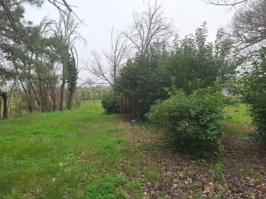 Immagine 7 di Rustico / casale in vendita  a Corinaldo