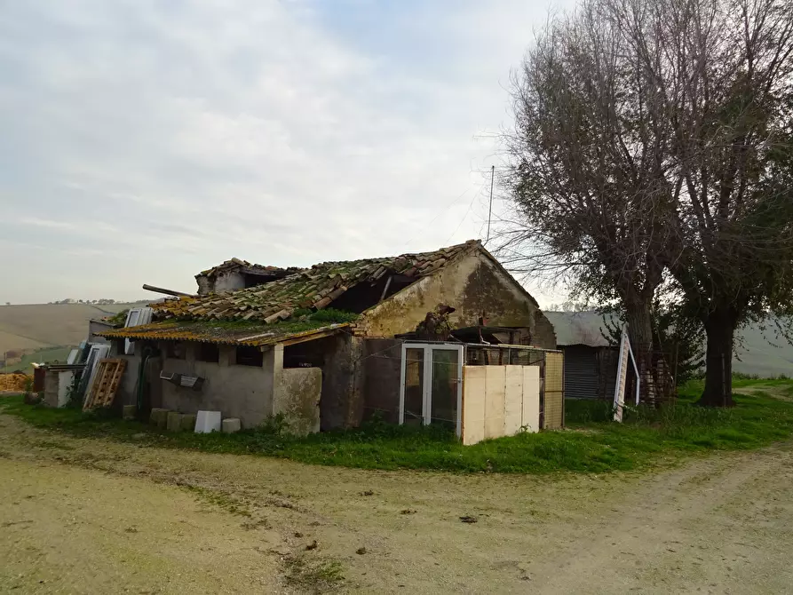 Immagine 30 di Rustico / casale in vendita  a Senigallia