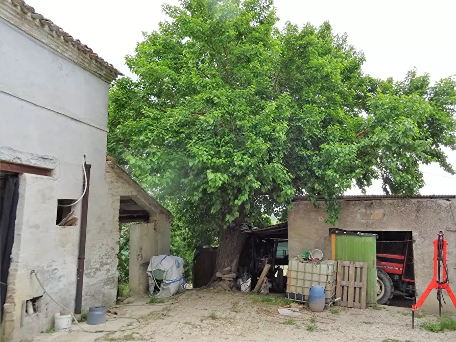 Immagine 3 di Casa bifamiliare in vendita  a Senigallia