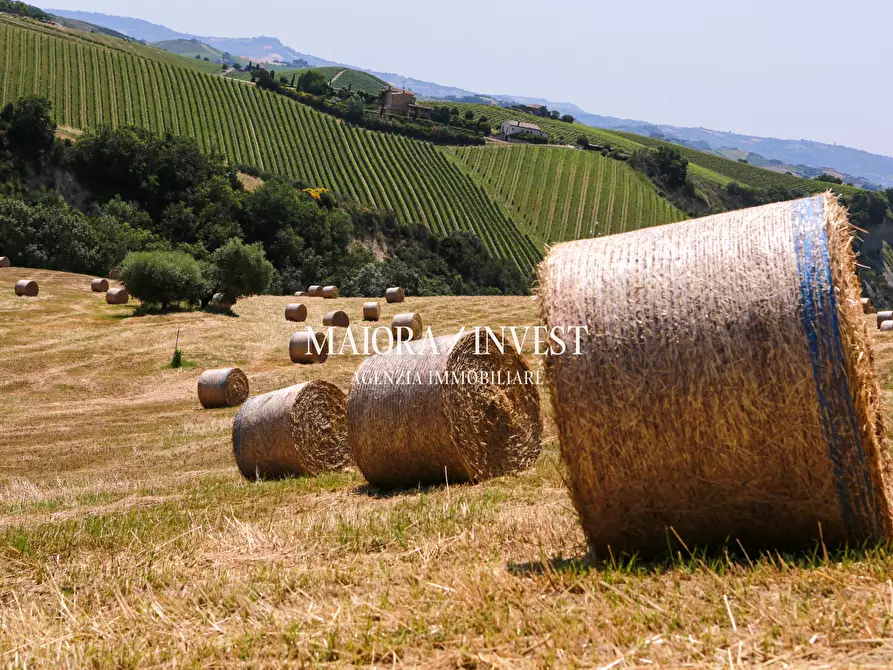 Immagine 22 di Rustico / casale in vendita  in Contrada Ciafone a Offida