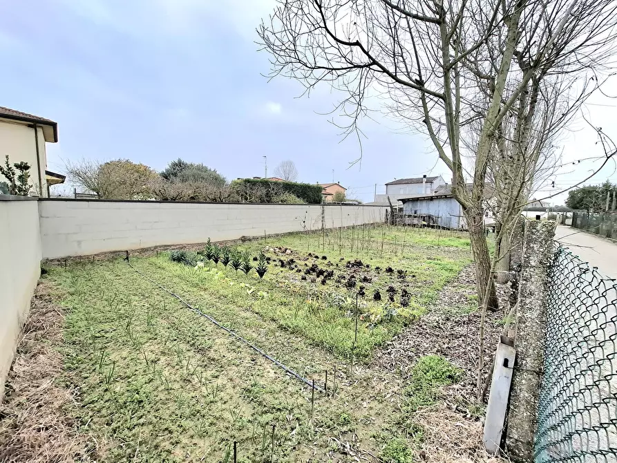 Immagine 9 di Casa bifamiliare in vendita  in Via Cà Matte 27 a Rovigo