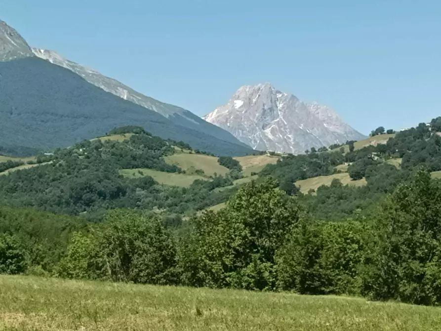 Immagine 19 di Terreno agricolo in vendita  a Farindola