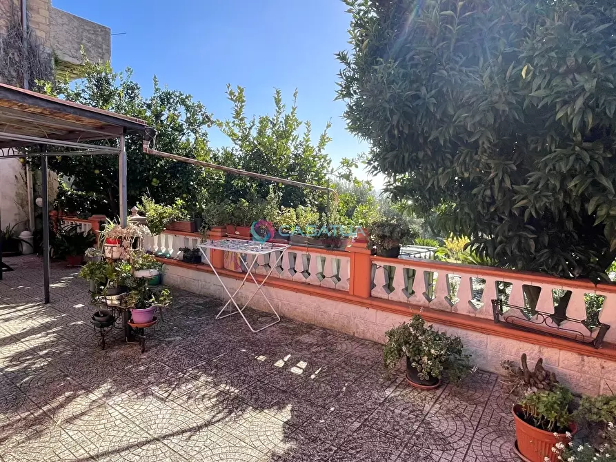 Immagine 25 di Casa indipendente in vendita  a Silvi