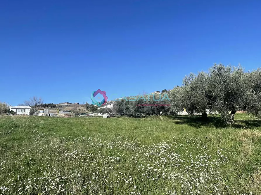 Immagine 12 di Terreno agricolo in vendita  a Silvi