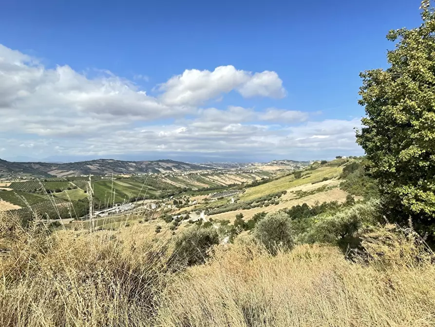 Immagine 5 di Terreno agricolo in vendita  a Silvi