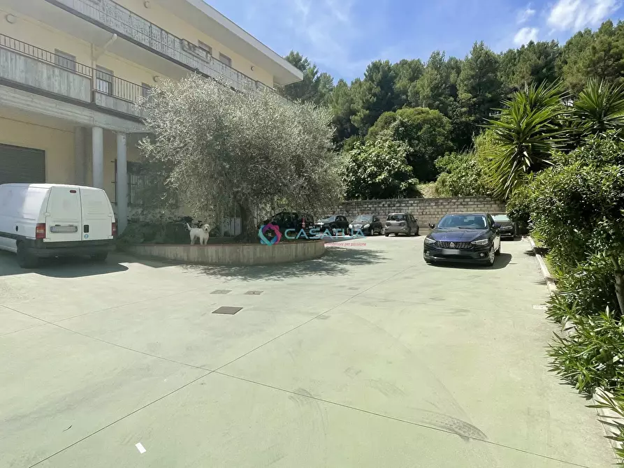 Immagine 48 di Attico in vendita  a Pineto