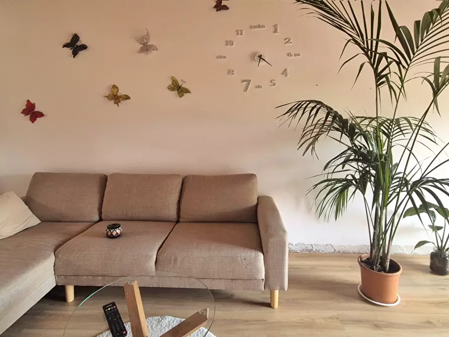 Immagine 5 di Porzione di casa in vendita  in Via Canonica 18A a Arcola