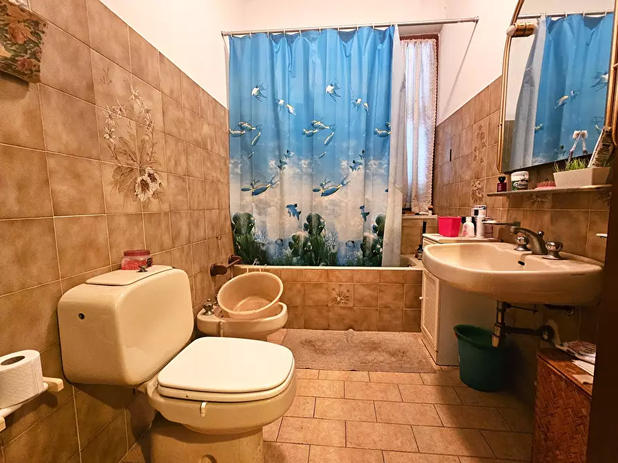 Immagine 20 di Porzione di casa in vendita  in Via Provinciale 289 a Arcola