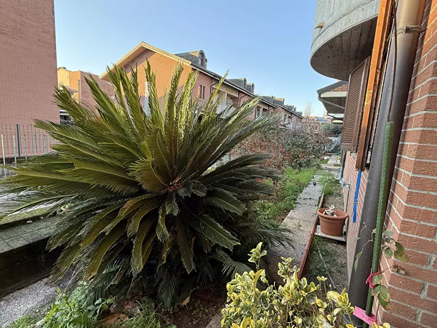 Immagine 49 di Casa bifamiliare in vendita  in Via Luigi Settembrini 14 a Cinisello Balsamo