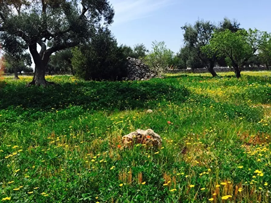 Immagine 14 di Terreno edificabile in vendita  in Contrada Giovannarolla a Ostuni
