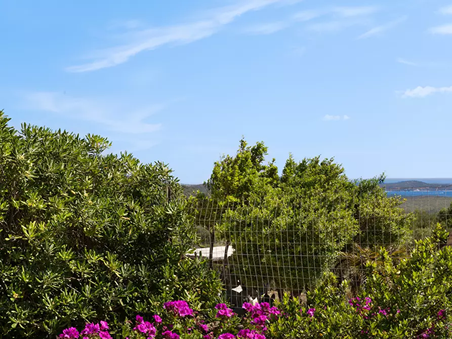 Immagine 42 di Villa in vendita  in Località Milmegghio a Olbia