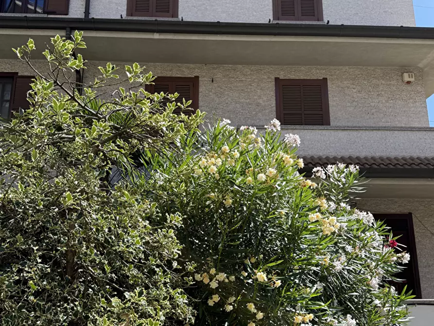 Immagine 26 di Casa bifamiliare in vendita  in Via Filippo Beltrame 20 a Vimodrone