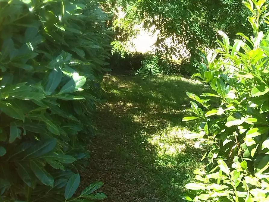 Immagine 17 di Trilocale in affitto  a Fornovo Di Taro