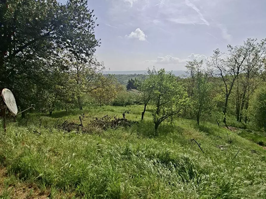 Immagine 27 di Casa indipendente in vendita  a Medesano