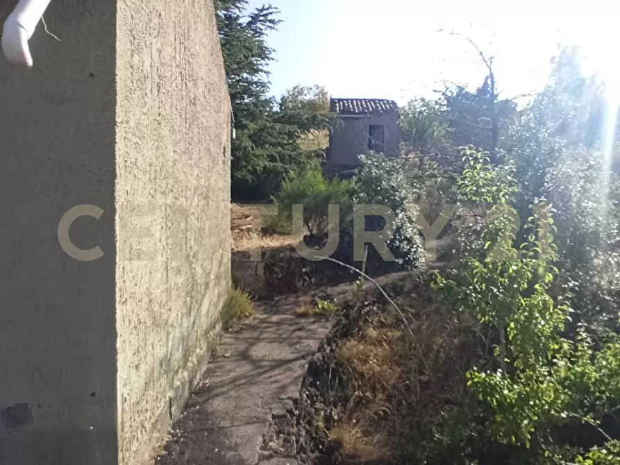 Immagine 32 di Terreno agricolo in vendita  in C.da Filiciusa a Biancavilla