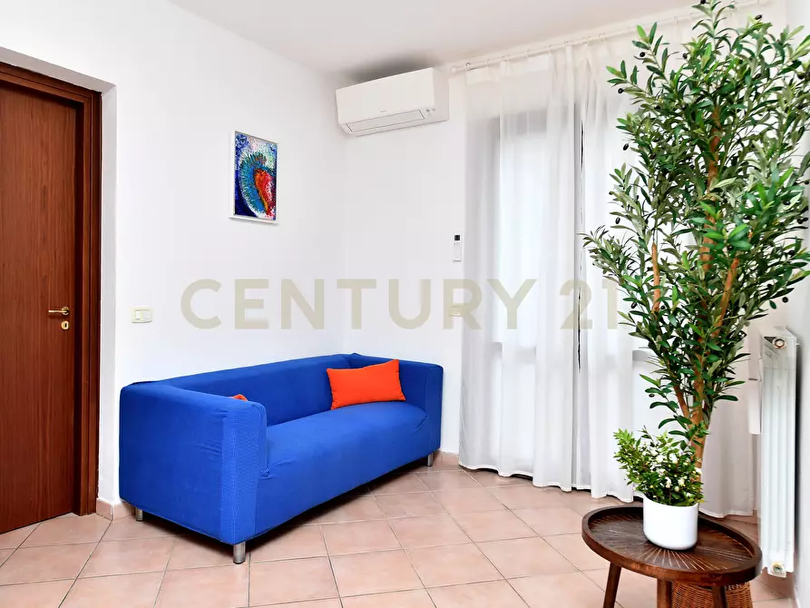 Immagine 7 di Terratetto in vendita  a Grosseto