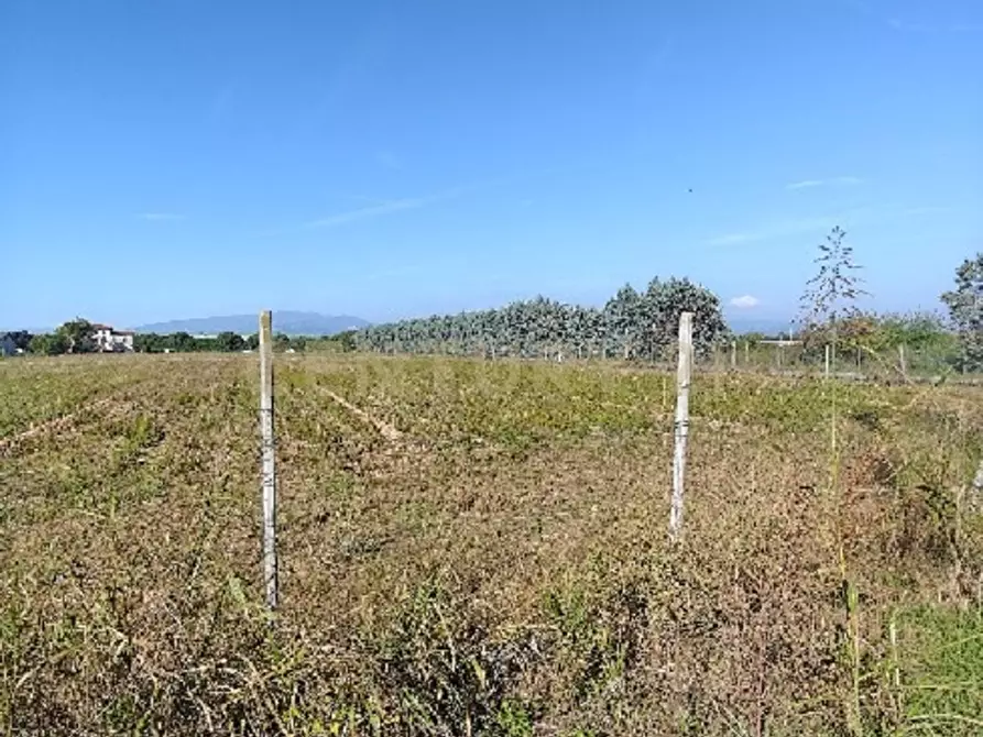 Immagine 4 di Terreno agricolo in vendita  in Via Siberie a Sommacampagna