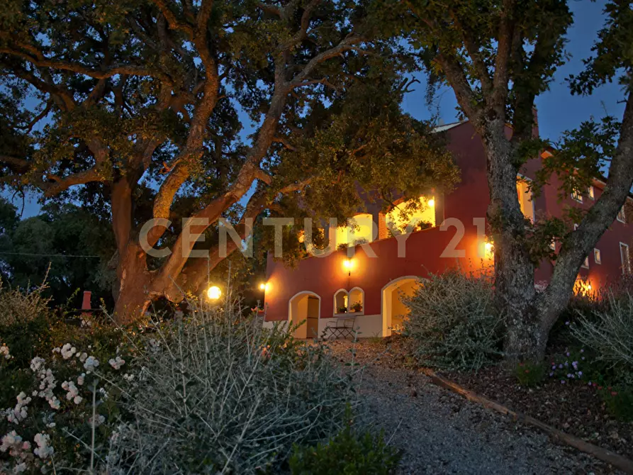 Immagine 46 di Rustico / casale in vendita  in località podere bizzarri a Scarlino