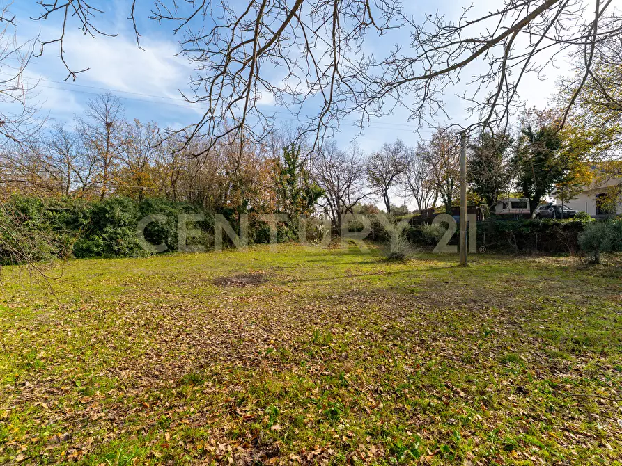 Immagine 6 di Villa in vendita  in CONTRADA ALBORETTO a Linguaglossa