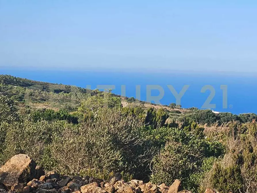 Immagine 15 di Casa indipendente in vendita  in Vicolo del Tufo 12 a Pantelleria